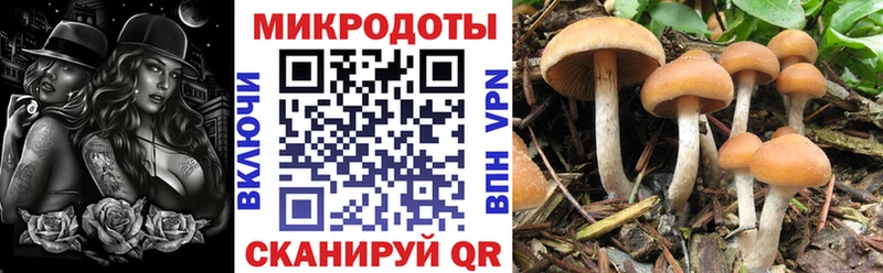 Купить закладки  Новокубанск  Галлюциногенные грибы мухоморы 