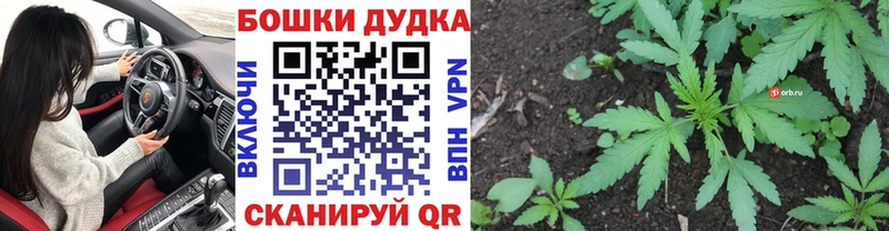 Купить где  Новокубанск  Канабис VHQ 